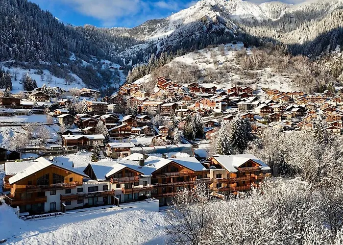 Tatil Evi Sources, Terrasse Et Confort 4 Etoiles La Plagne